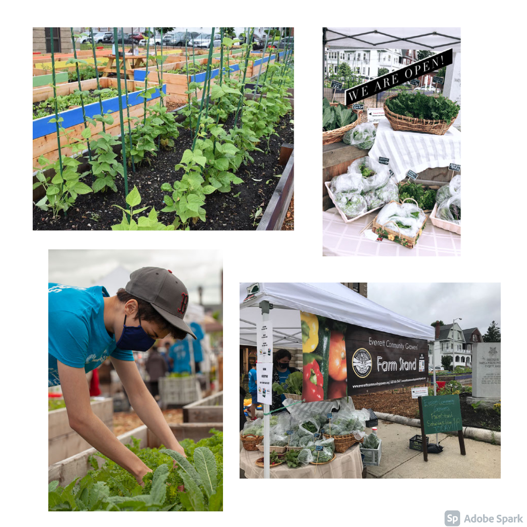 farmstandphoto Everett Community Growers